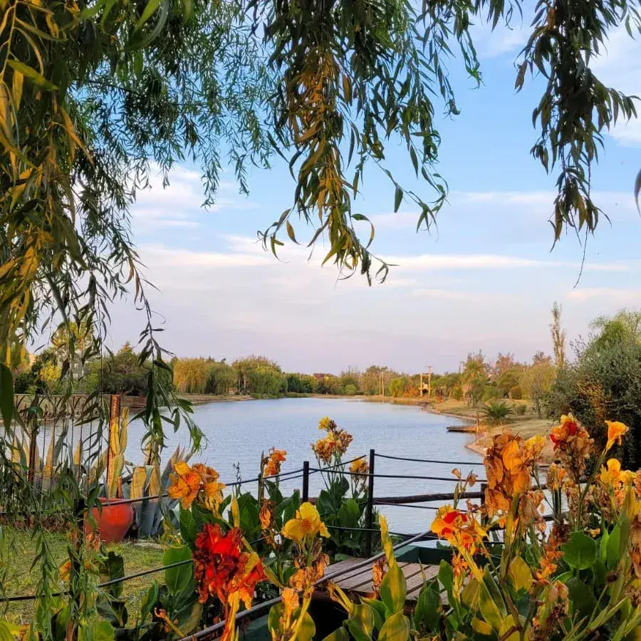Laguna con flores en primer plano