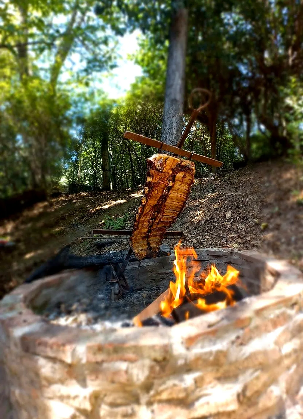 Asado a la cruz en el fogón, entre los árboles