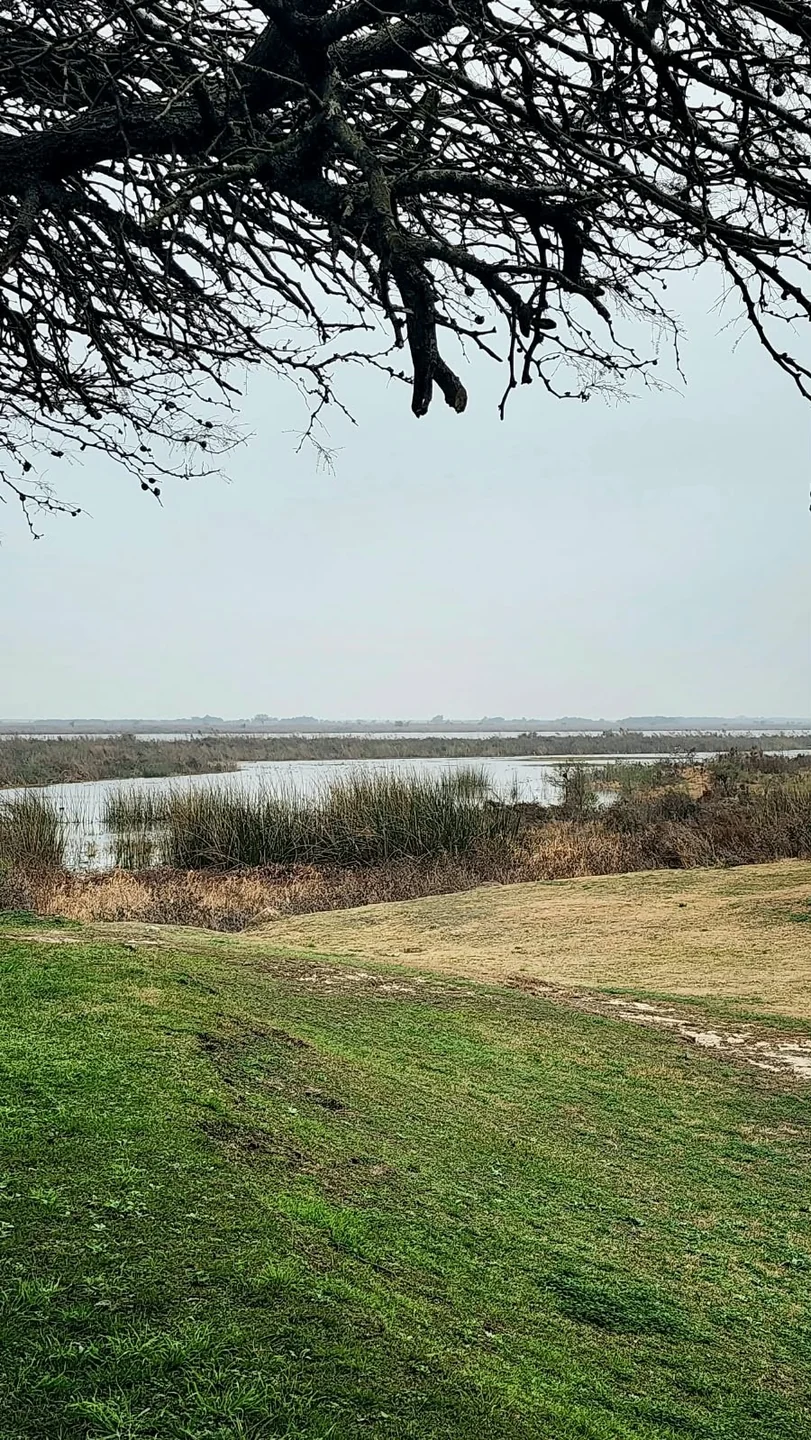 Vista del brazo del río a orillas del complejo