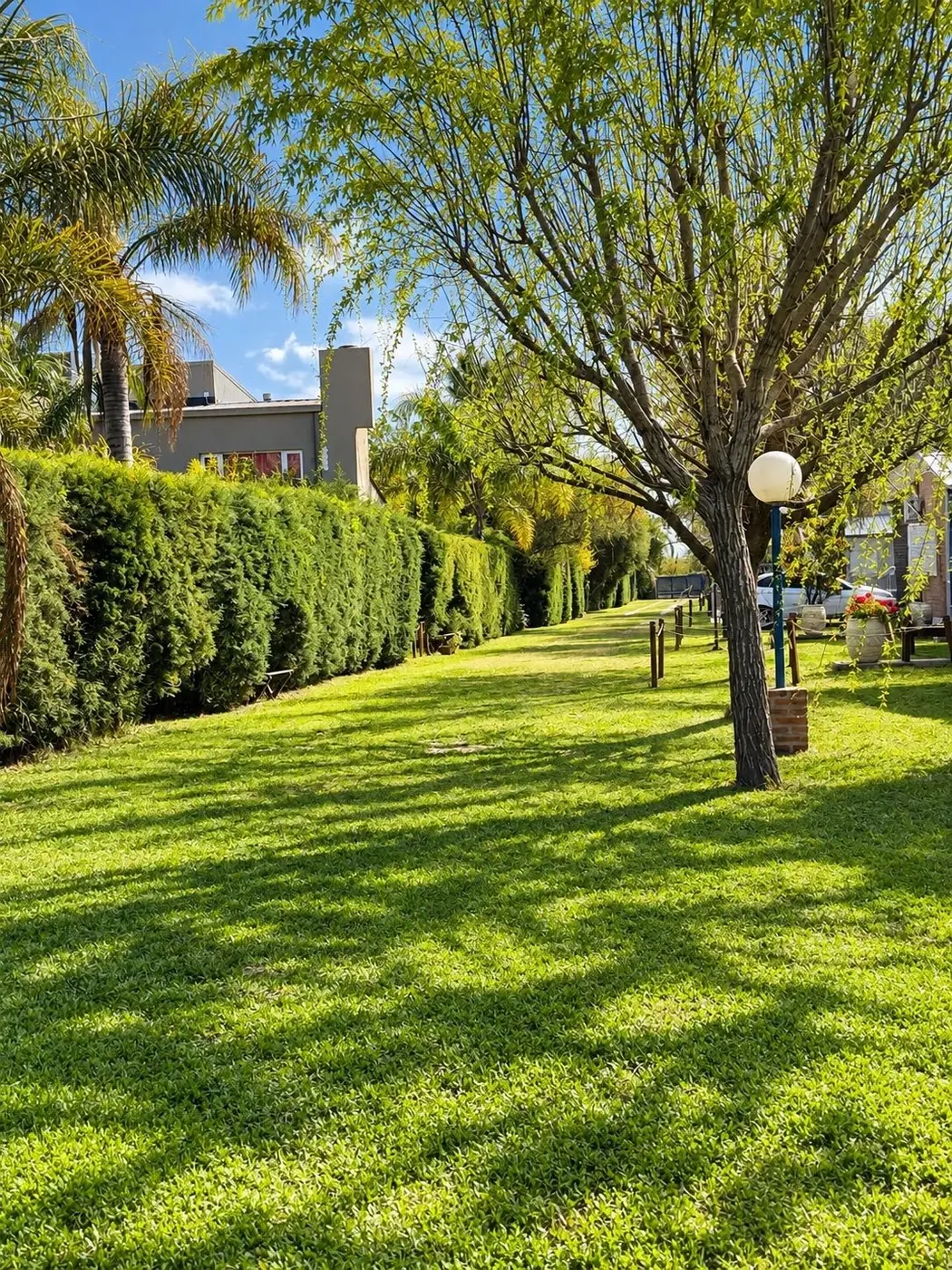 Parque con árboles y cerco verde entre las cabañas