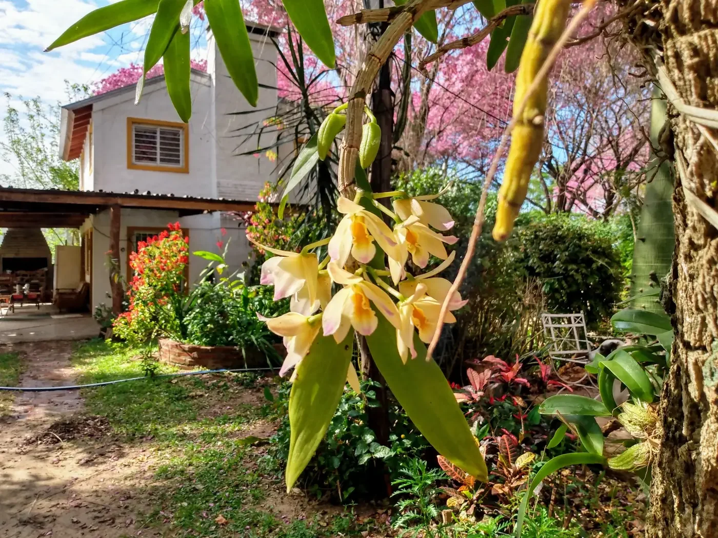 Cabañas inmersas en forestación nativa, con flores todo el año