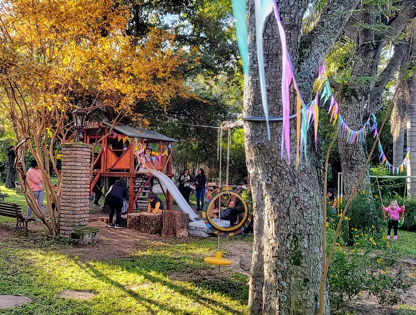 La casita del árbol, patrimonio natural