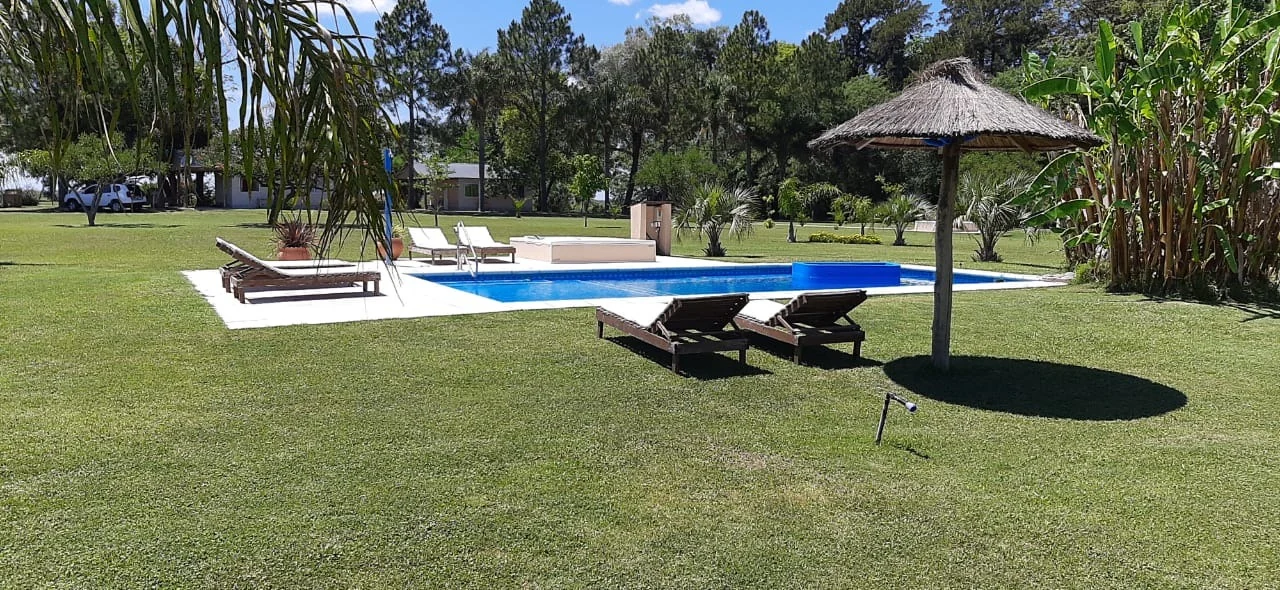 Pileta con reposeras y sombrilla de paja en el parque
