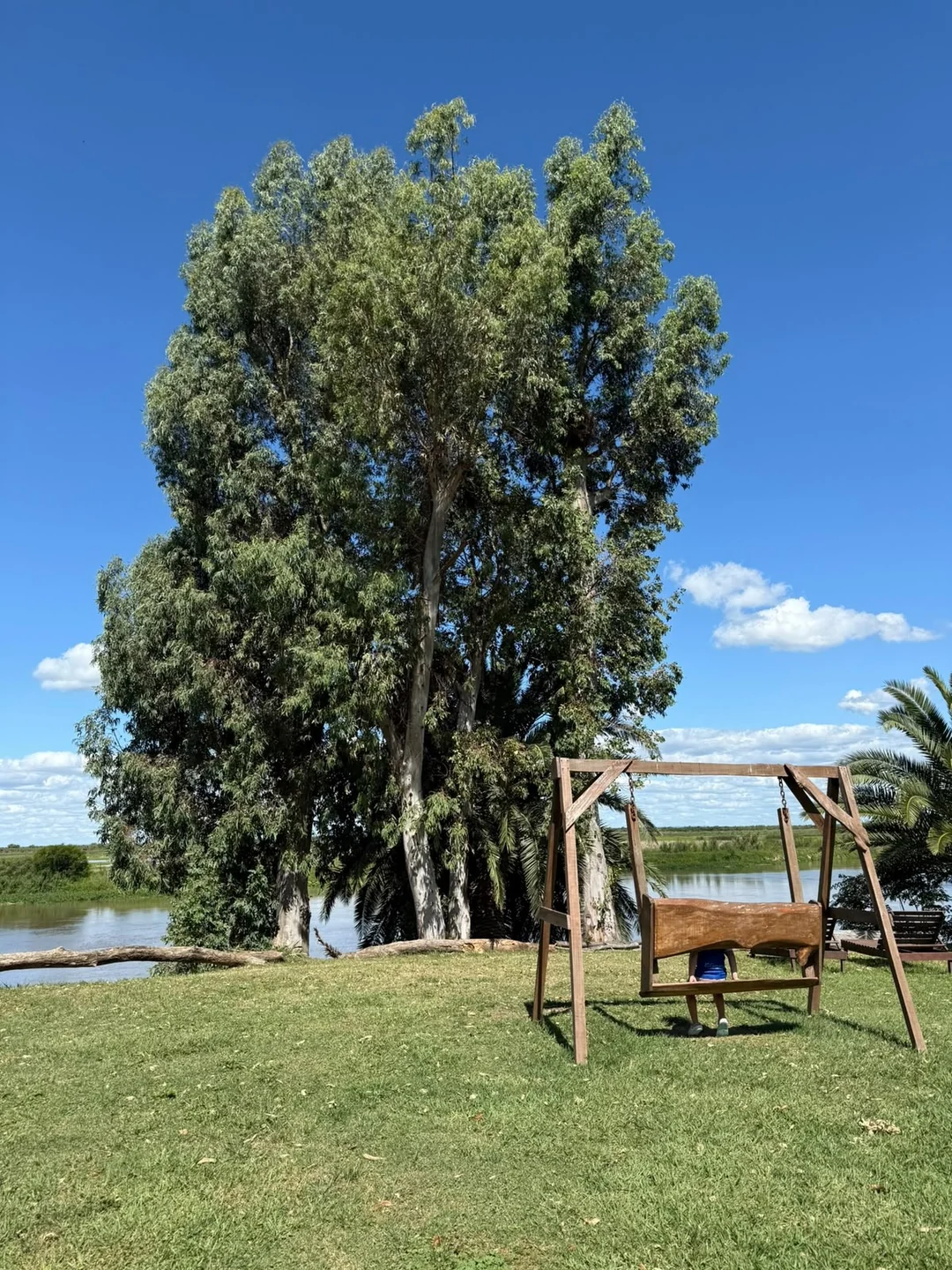 Hamaca de madera bajo los eucaliptos, junto al río