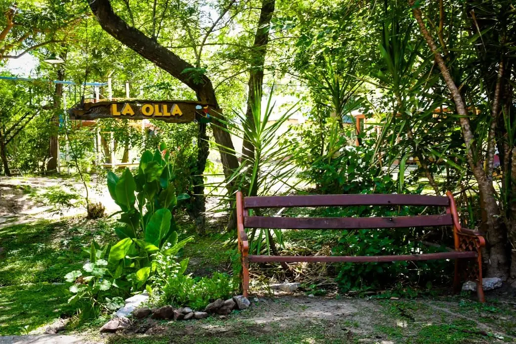 Entrada al complejo entre el bosque