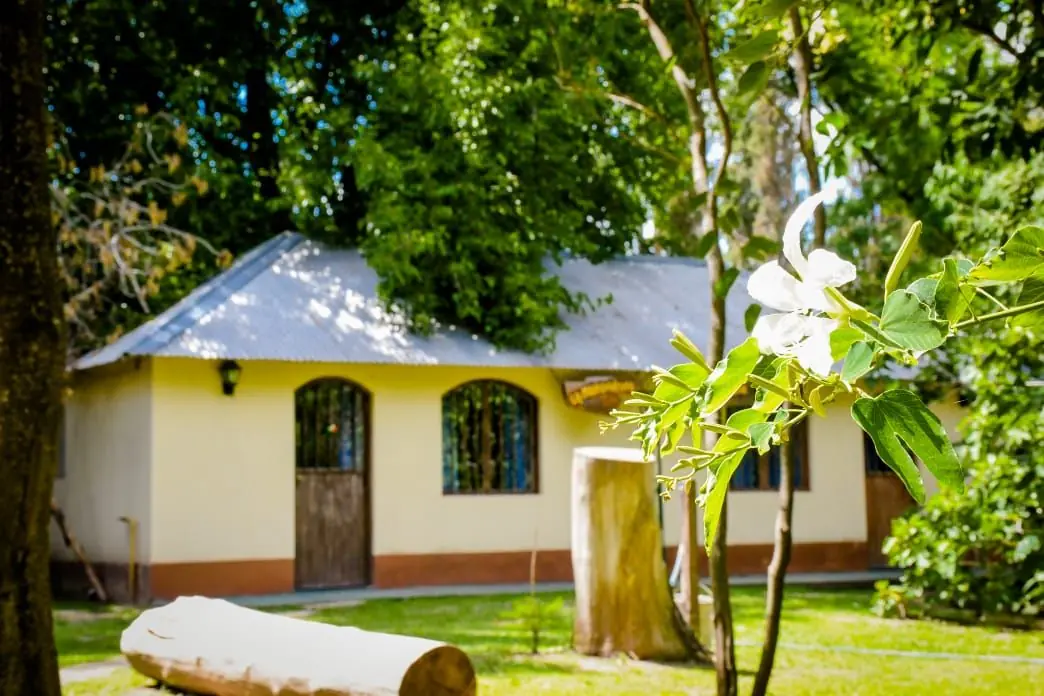 Cabaña rodeada de vegetación