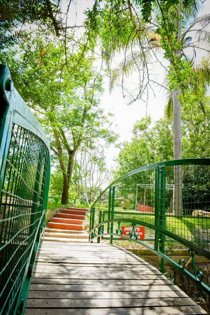 Pasarela y escalera de bajada al río