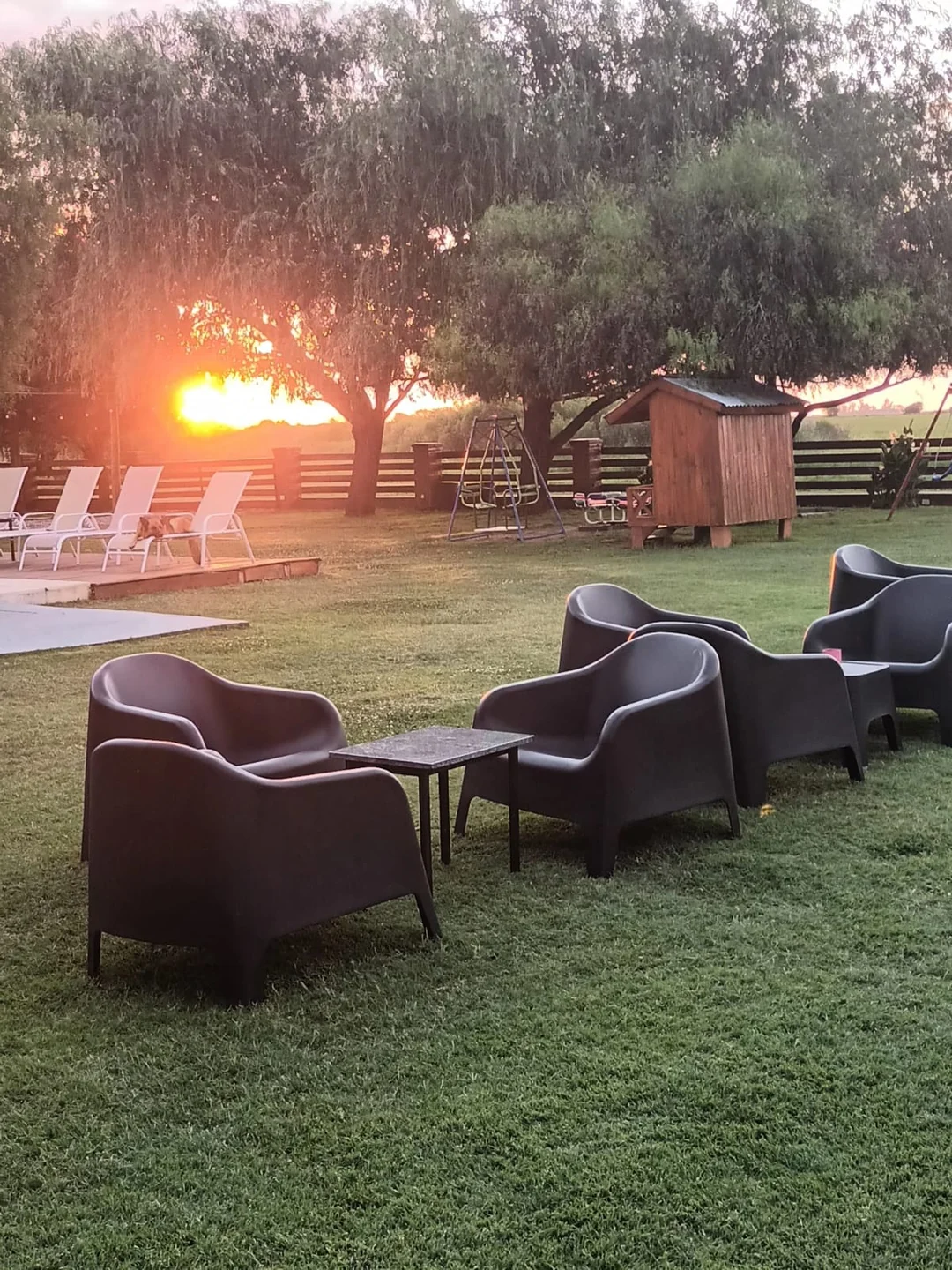 Sillones en el parque al caer el sol
