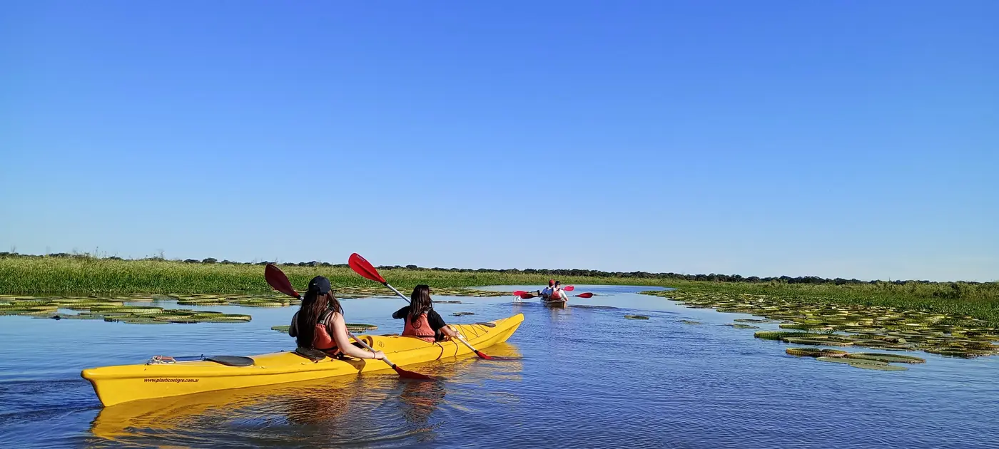 Dos kayaks amarillos navegando un riacho entre pajonales