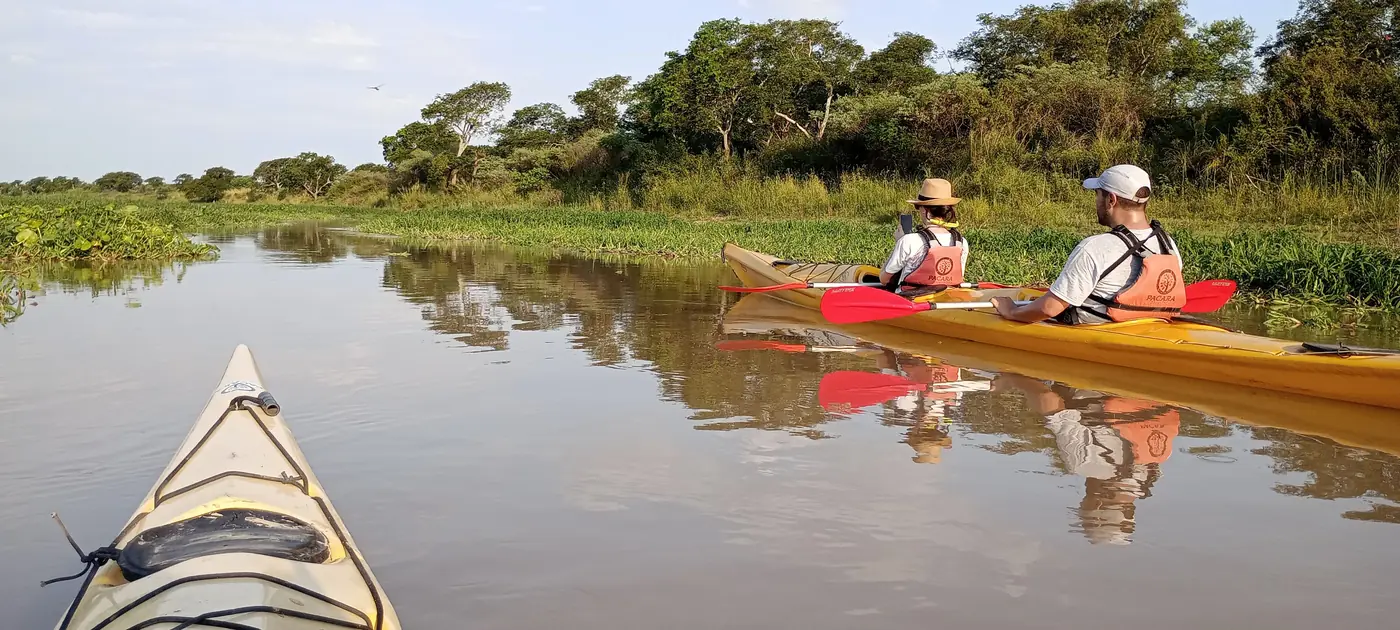 Kayakistas reflejados en el agua calma, entre árboles de la costa