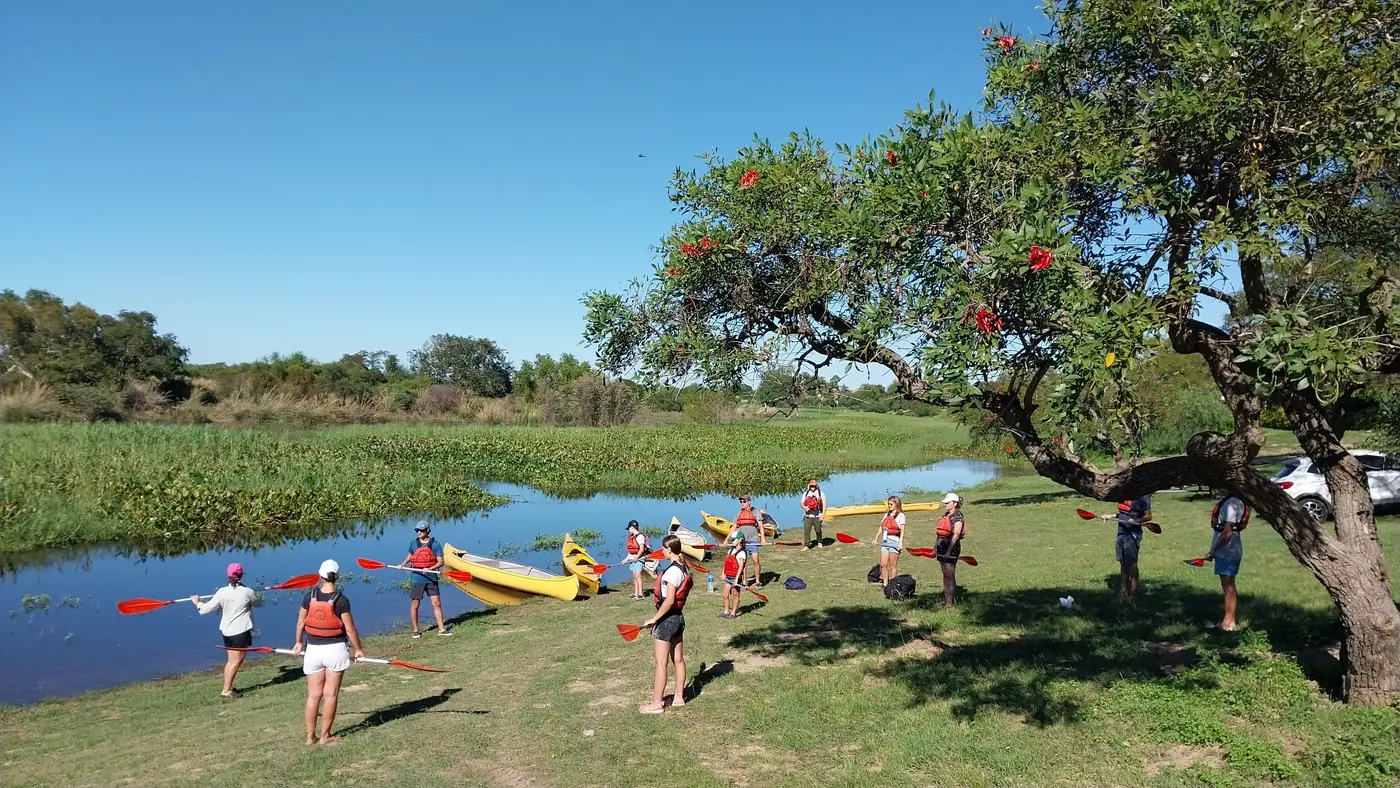 Grupo preparándose para remar a orillas del río, junto a un árbol